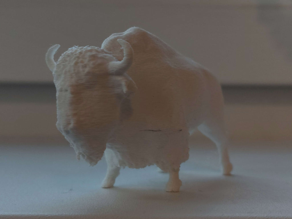 Realistic Anatomical American Bison (Educational)