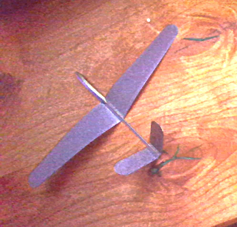 Small Launchable Airplane