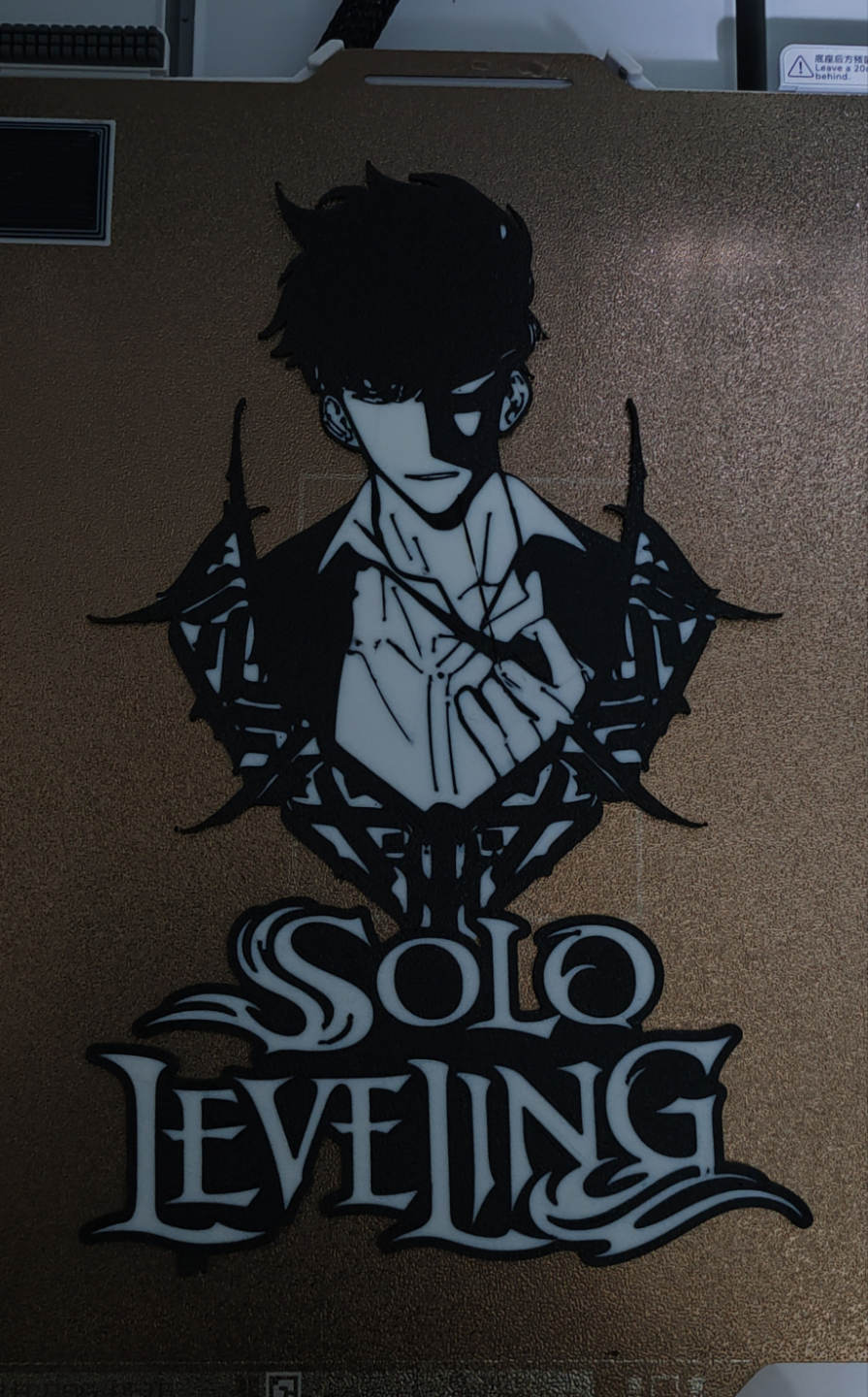 Solo Leveling Sung Jin Woo 2d wall art