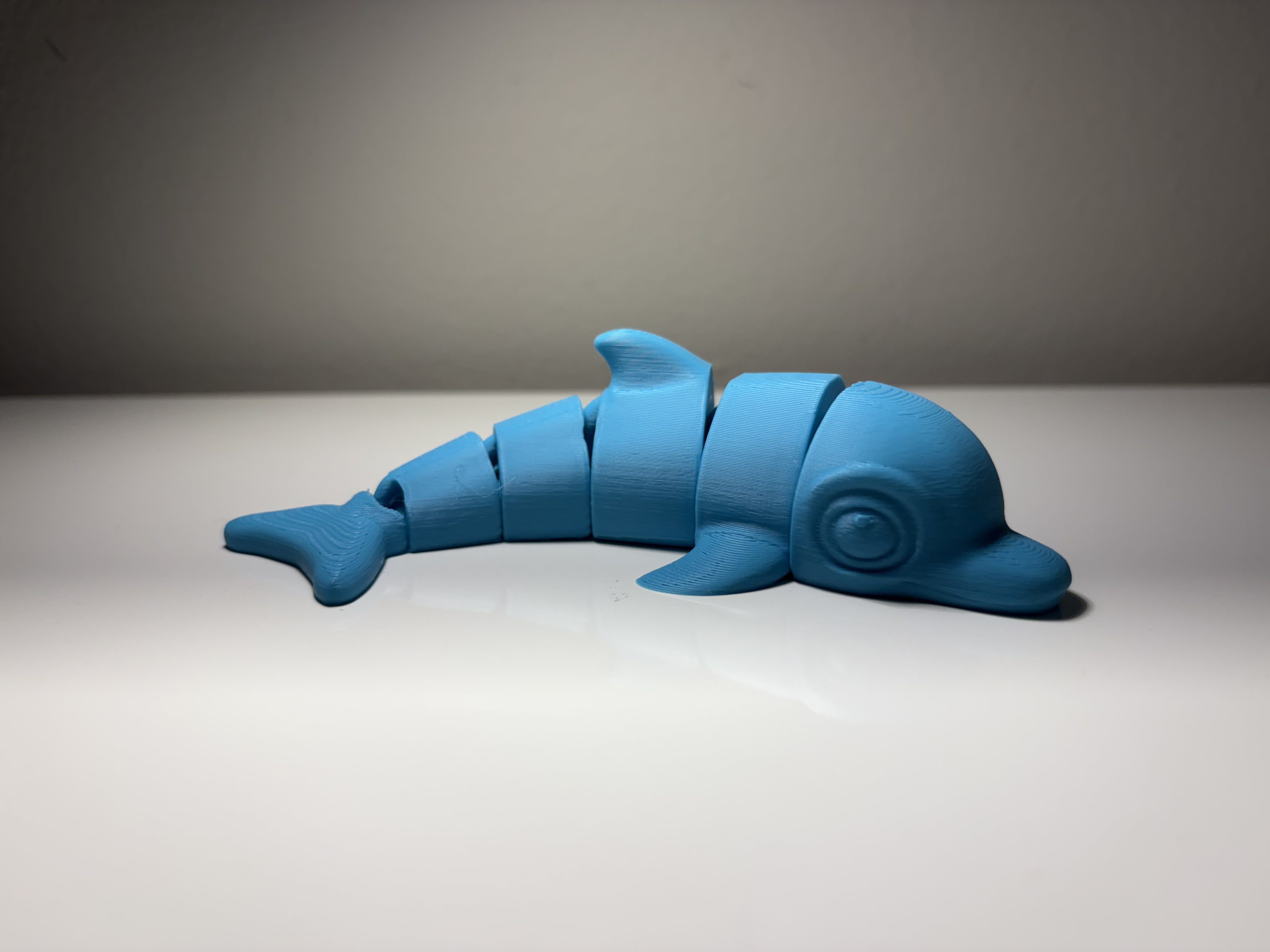 Flexi Dolphin (Sell it!)