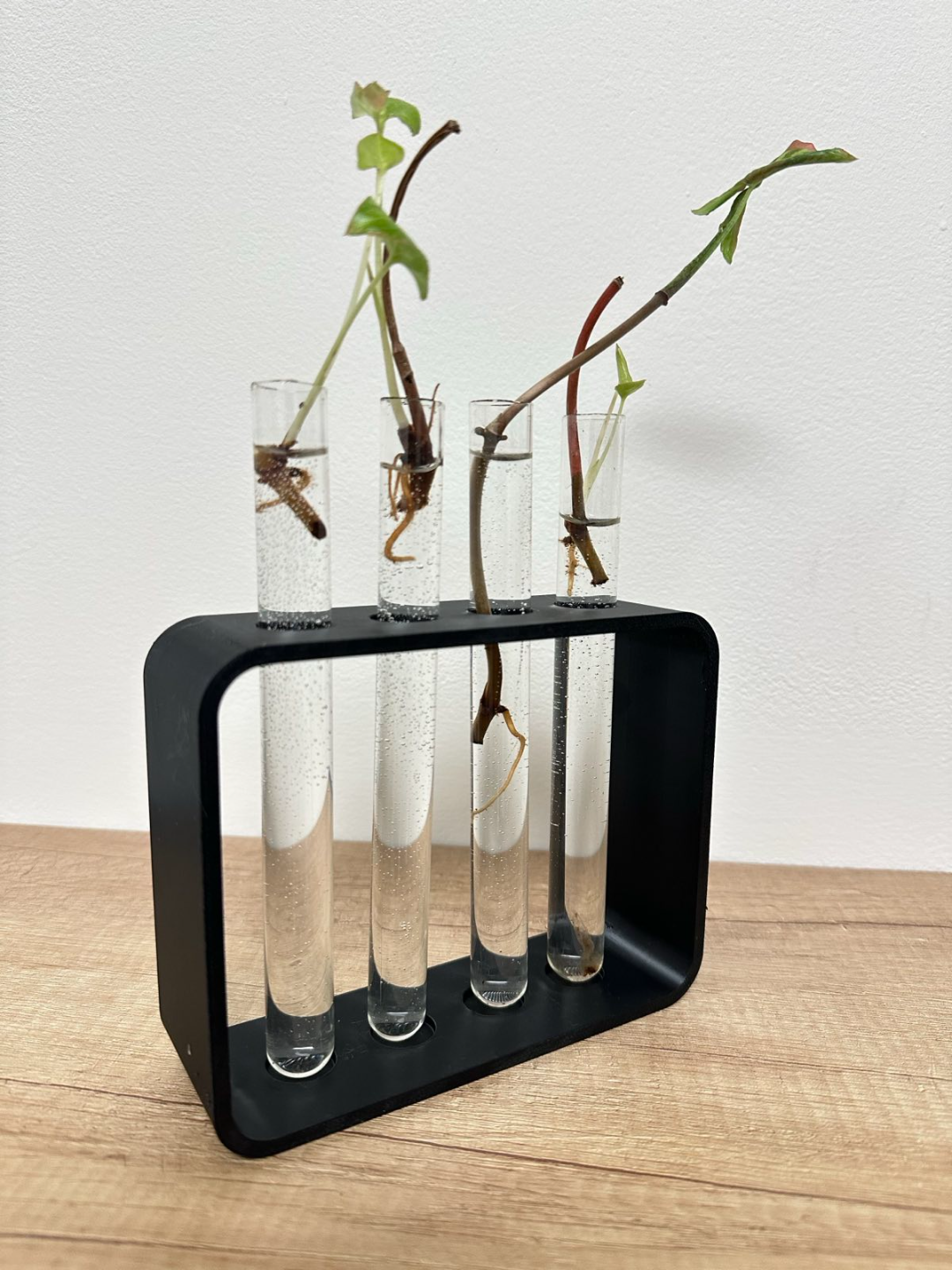 Test Tube Holder for plant propagation by cutting