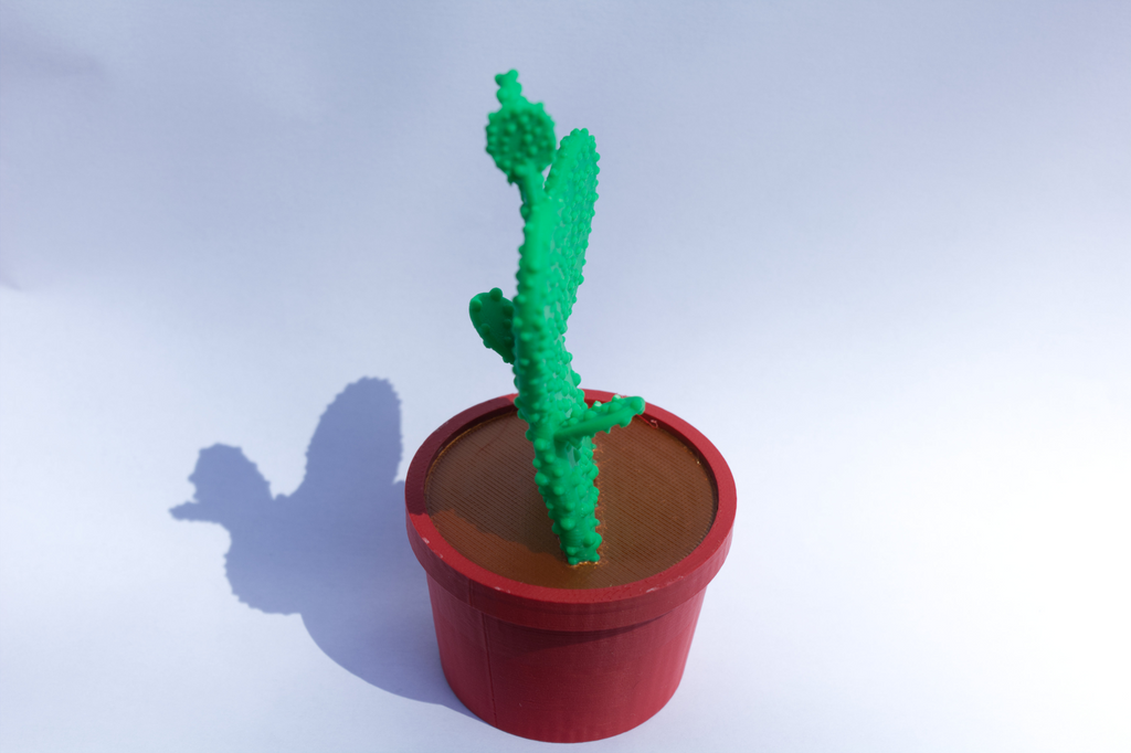 Desktop Cactus Plant, 3-Color print, House Decor