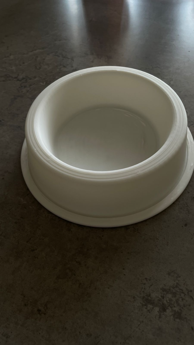 Pet Splash N' Snack Bowl