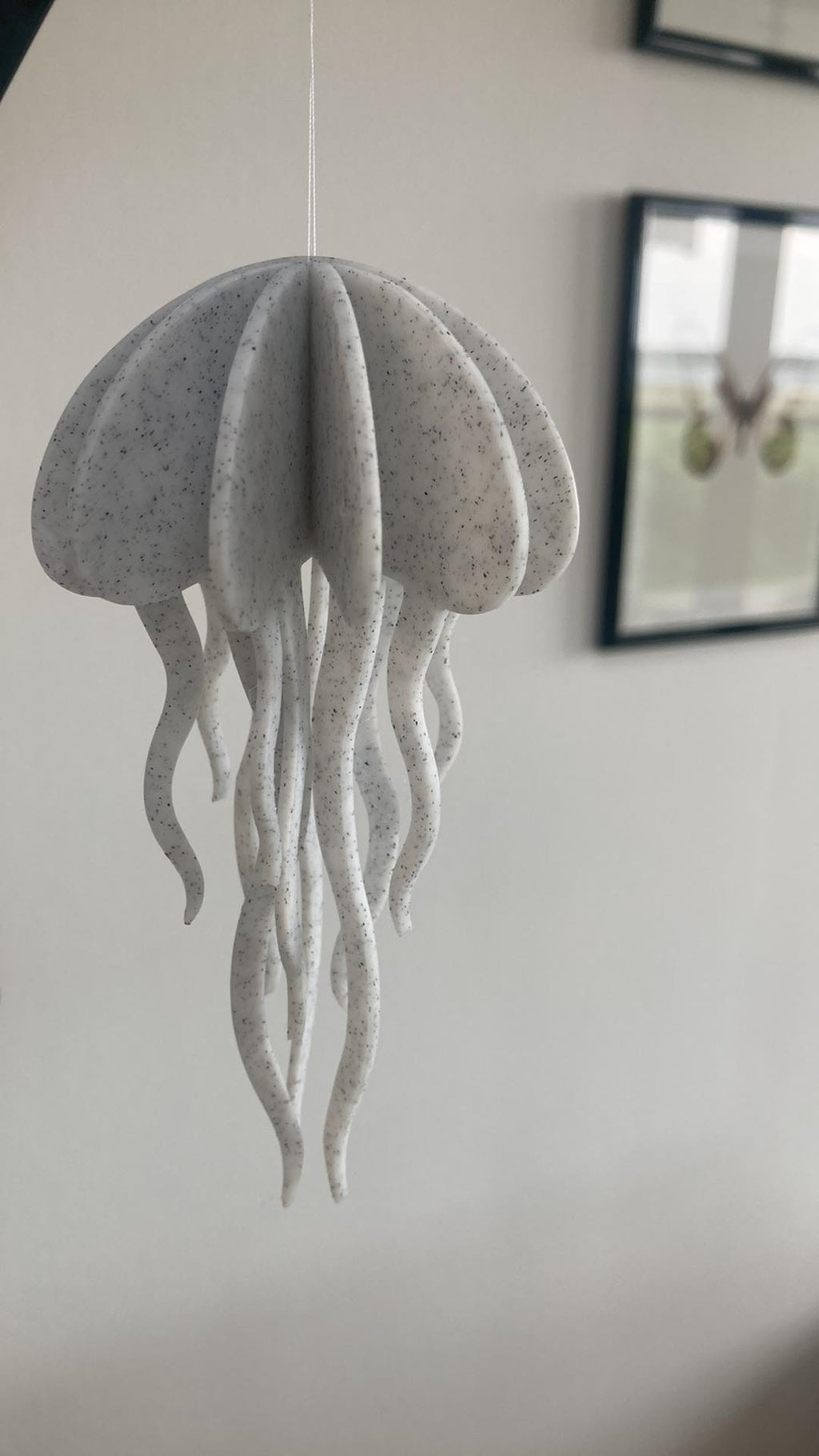Jellyfish model