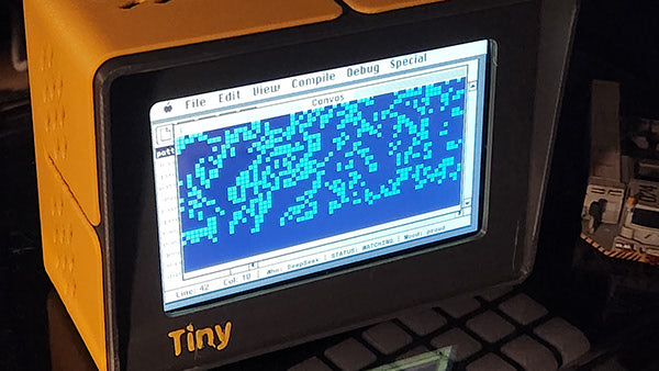 TinyProgrammer