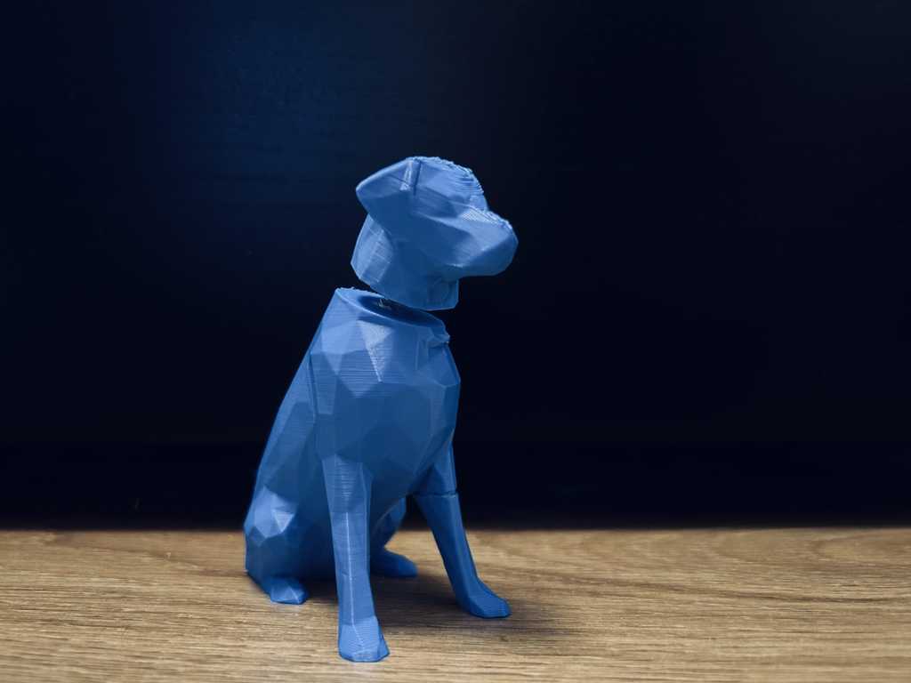 Bobble Dog
