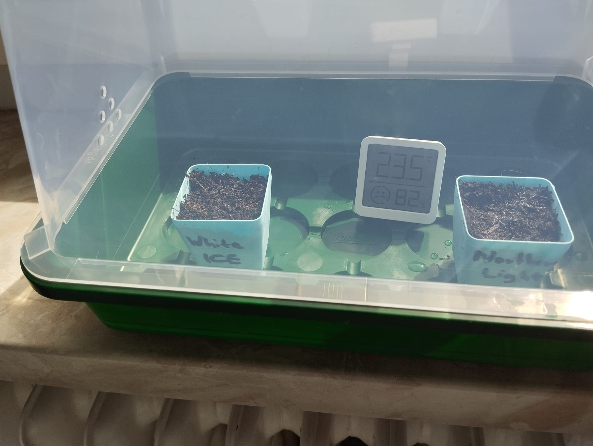 Anzuchttopf 4,5x4,5x4,5 Seed Topf
