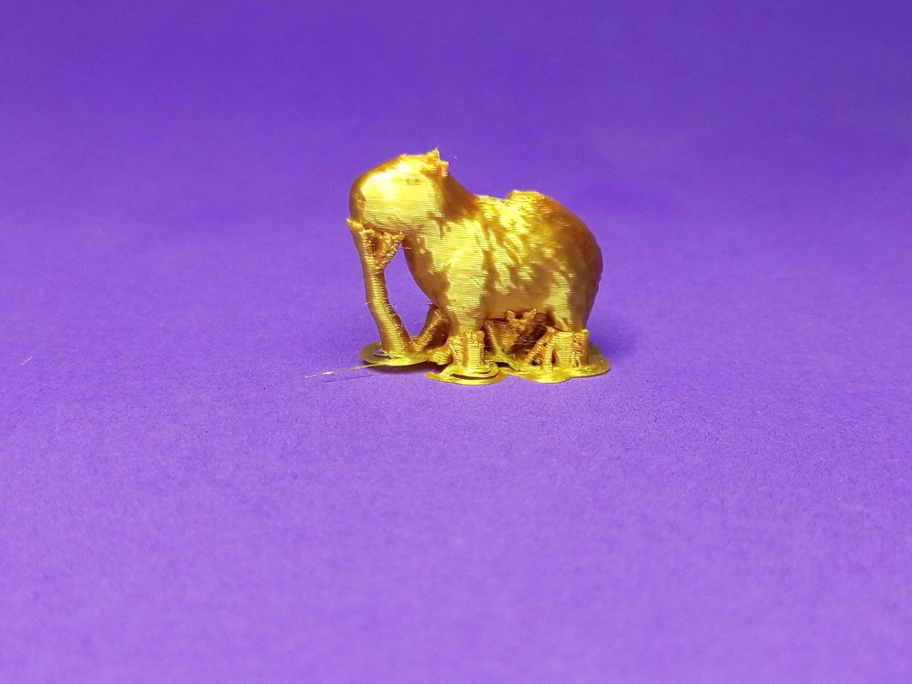 Capybara Spoke Ornament – Chill Vibes for a Bike!