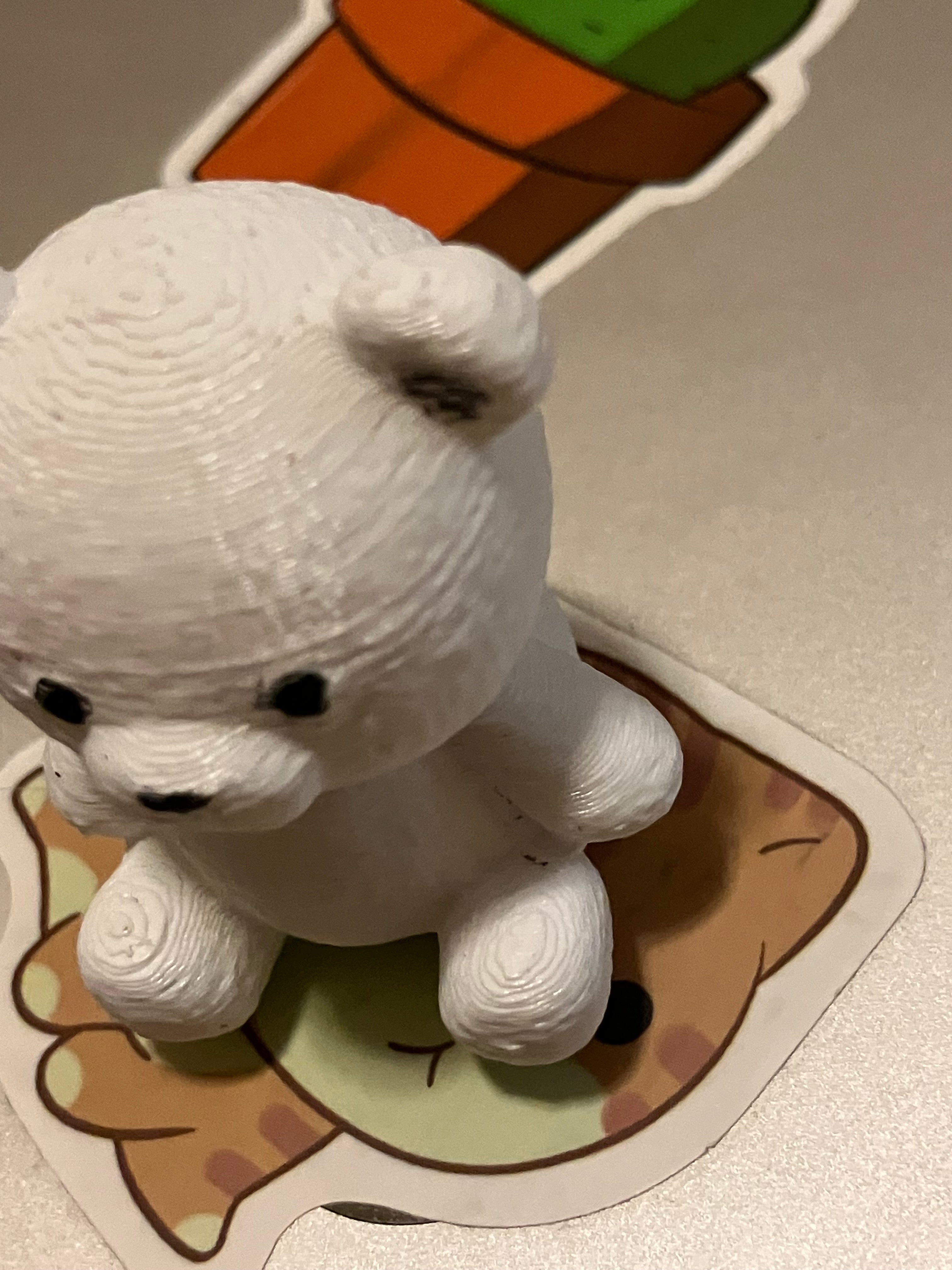 Cute Bear