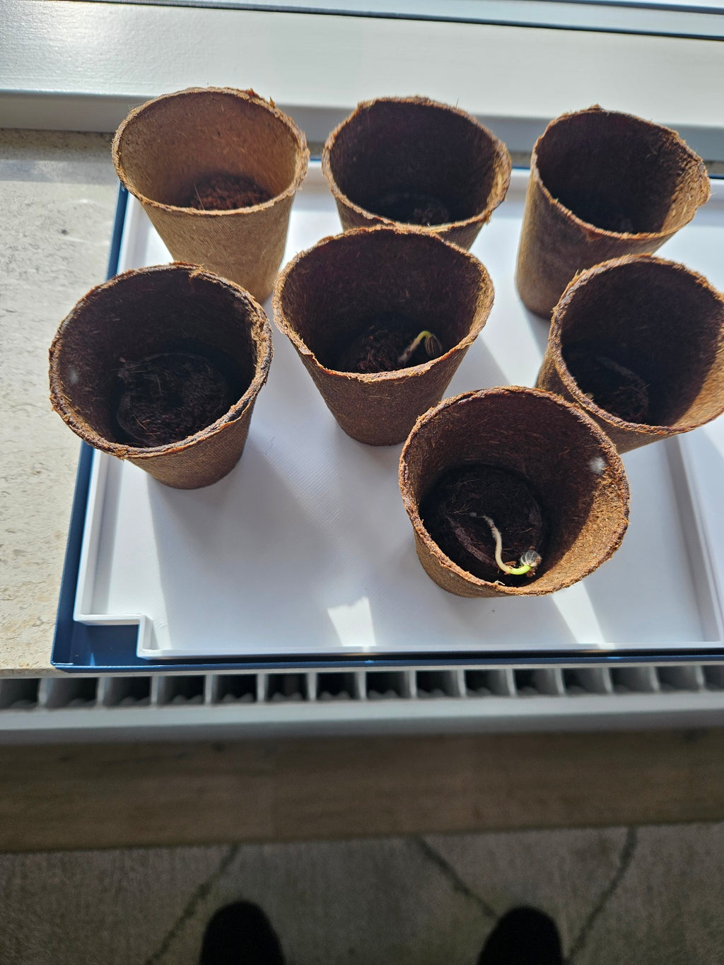 Trays for IKEA ÅKERBÄR Greenhouse