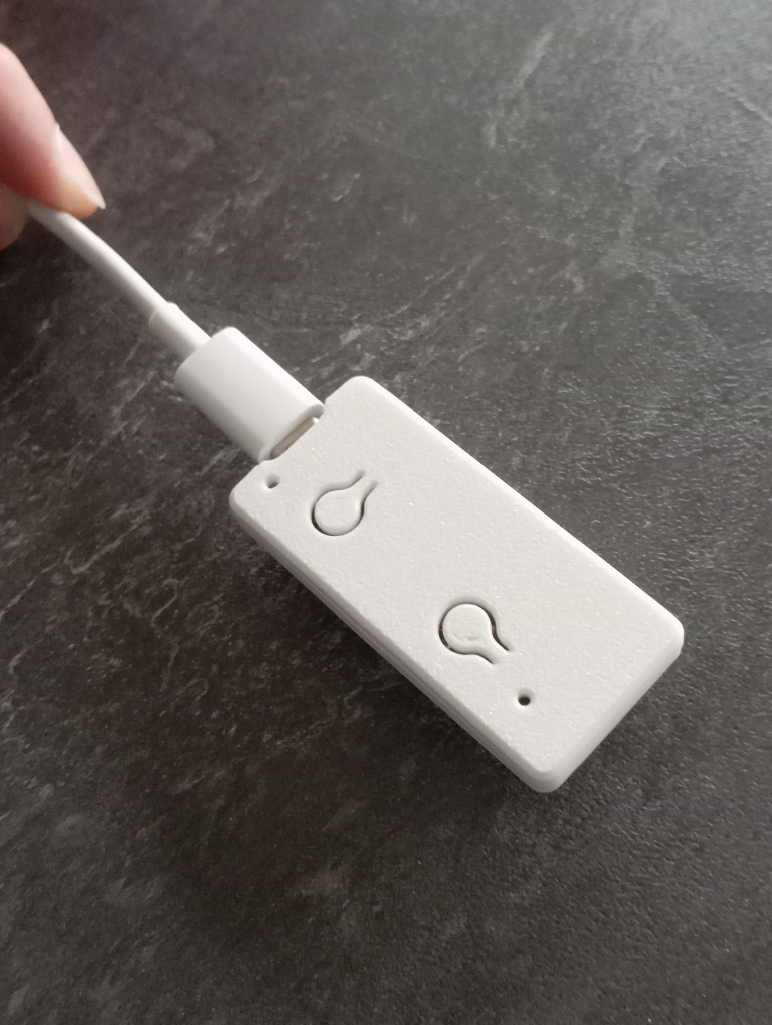RP2040 Pico-W case | Fake Raspberry | ESP8285
