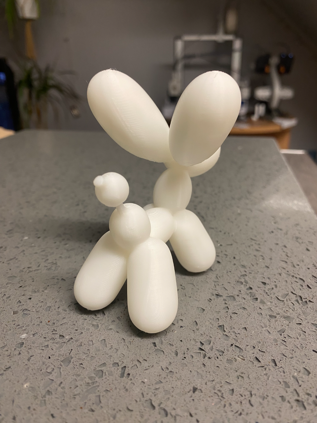 balloon dog