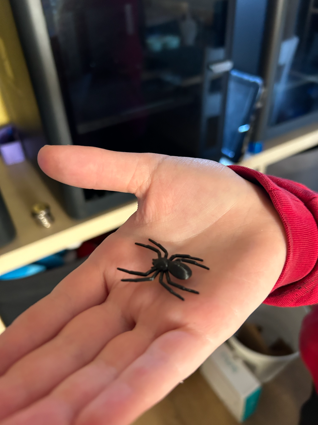 spider halloween