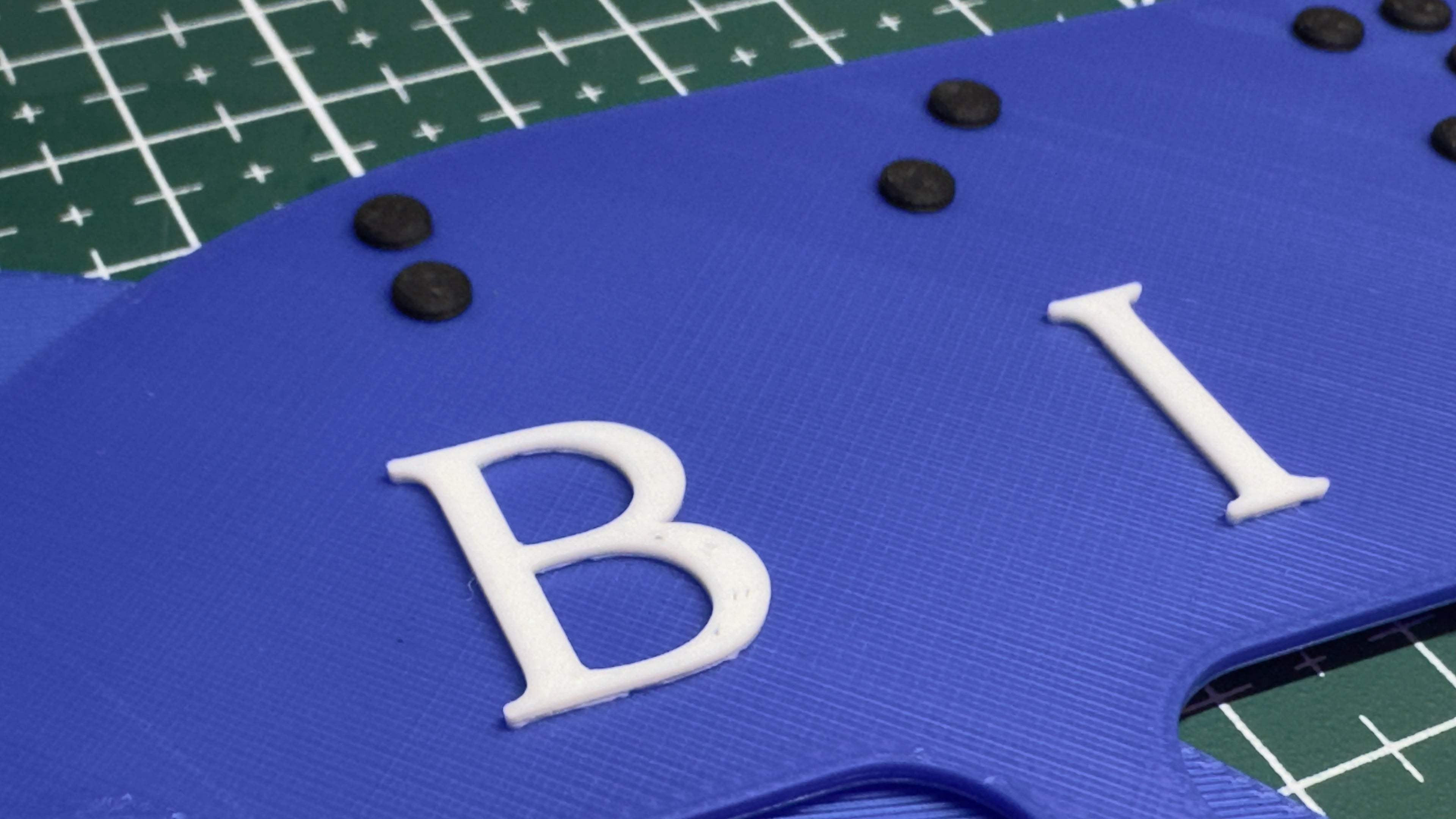 Visually Impaired & Blind People Bingo Card