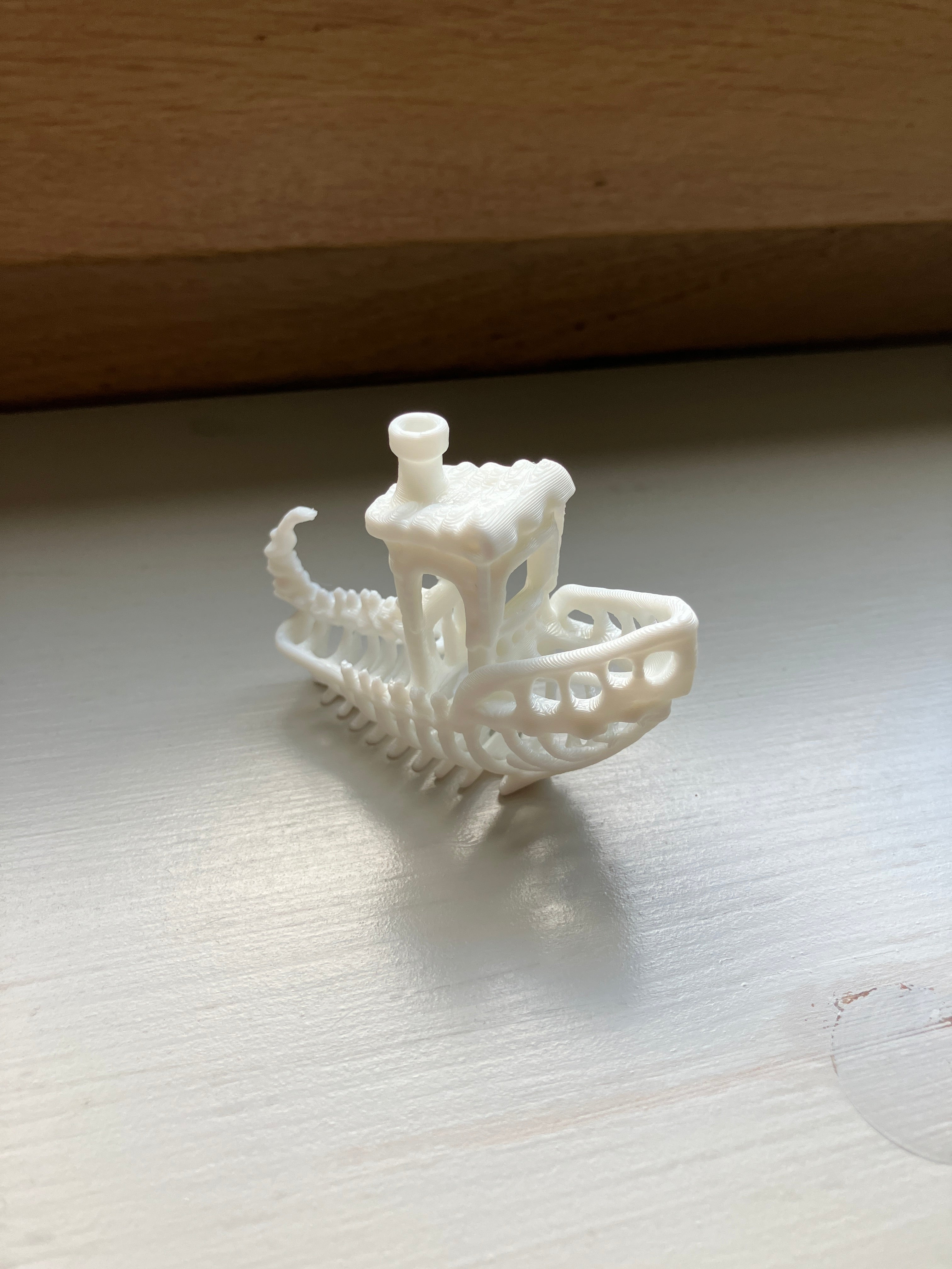 Fossil Benchy