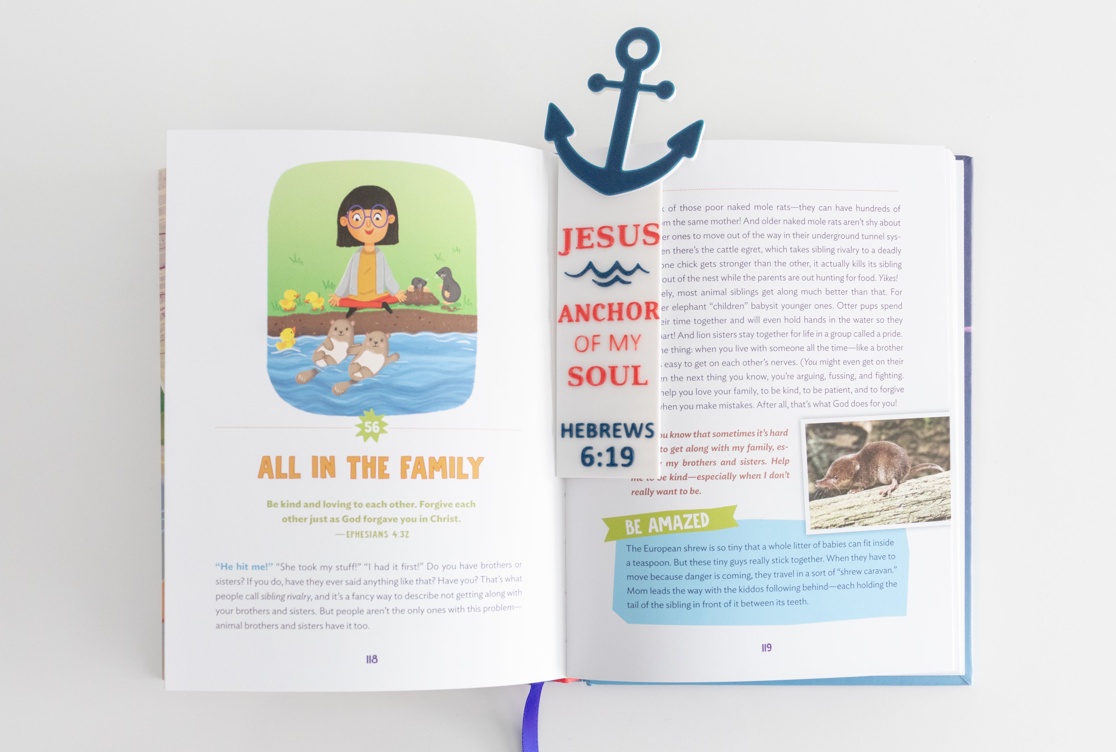 Anchor Bookmark: Hebrews 6:19