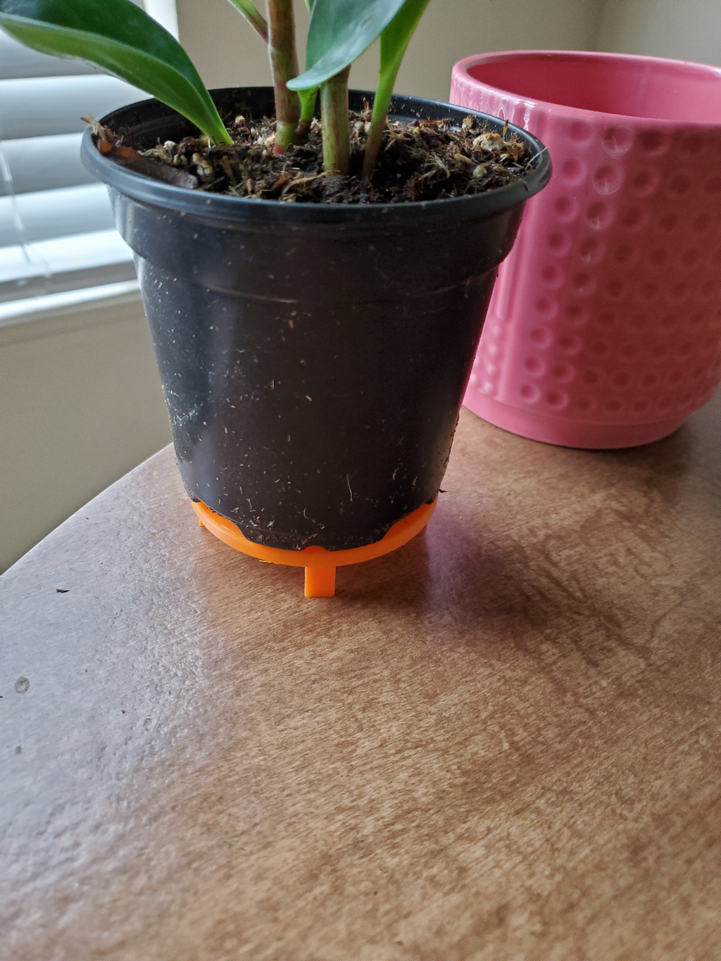 Potted Plant Watering Riser