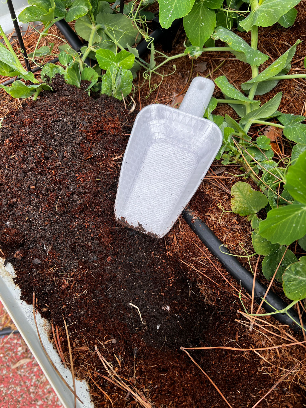 Shovel