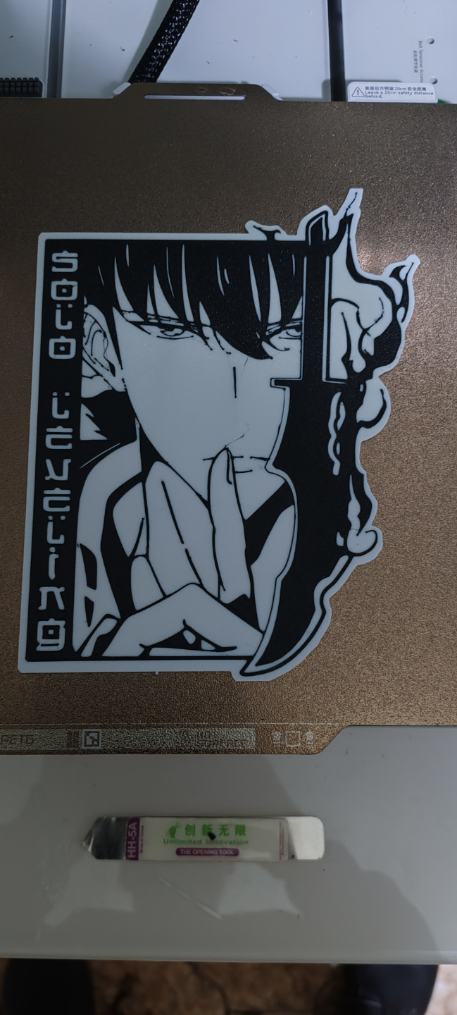 Solo Leveling Sung Jin Woo 2d wall art