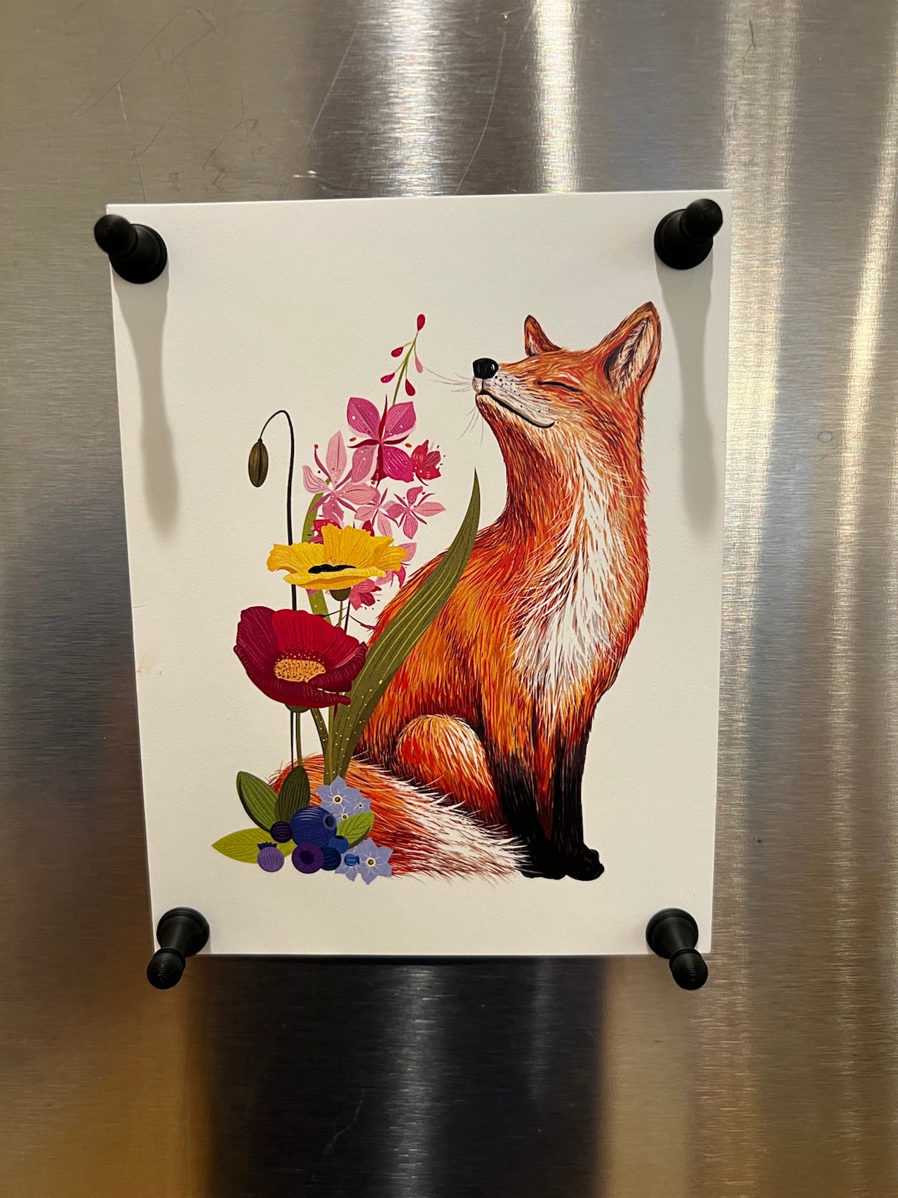 FridgePawn: Your Move on Cool Decor