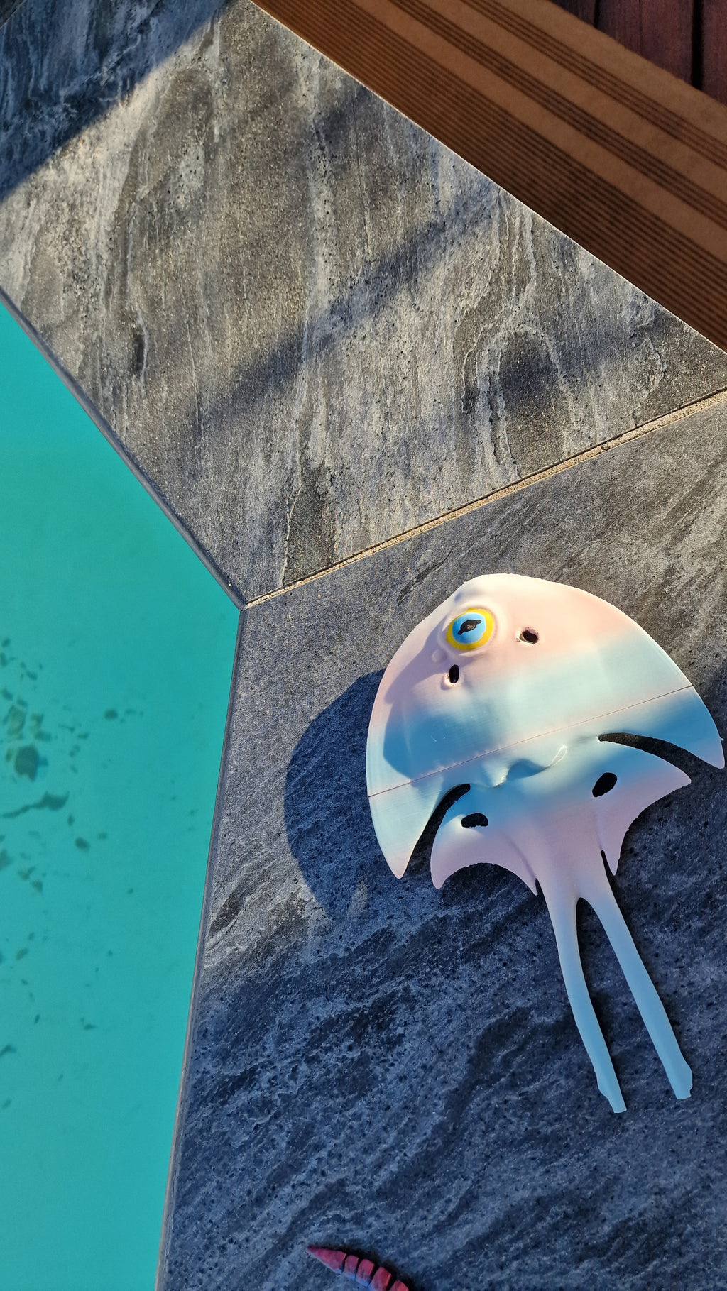 Subnautica 2 - Halfmoon Fish