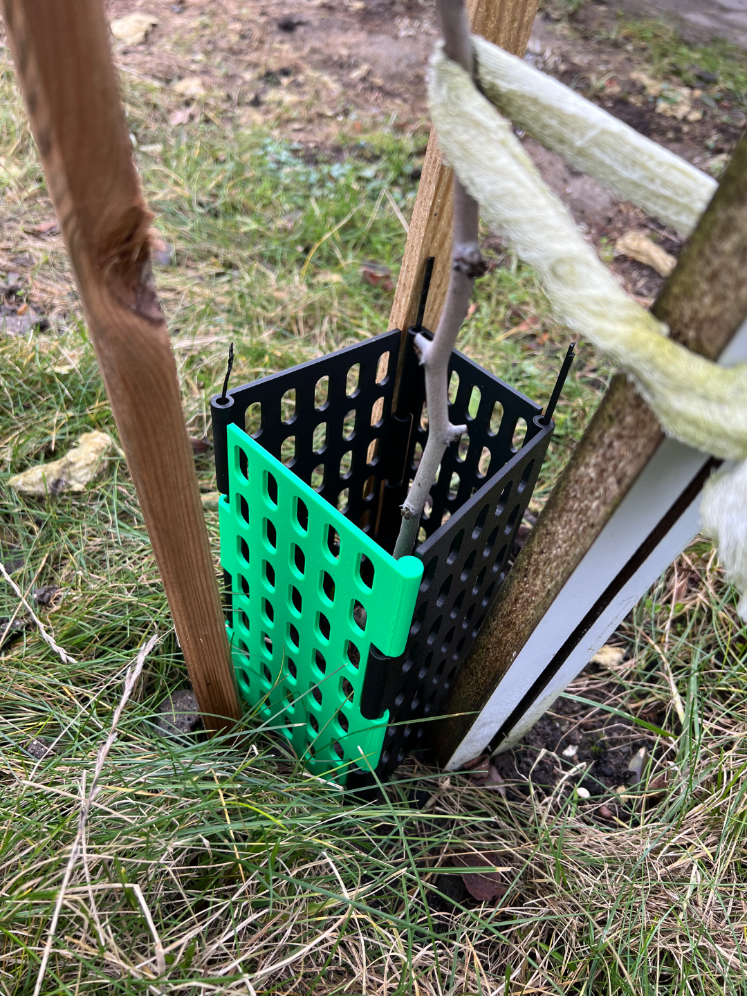 tree guard fence