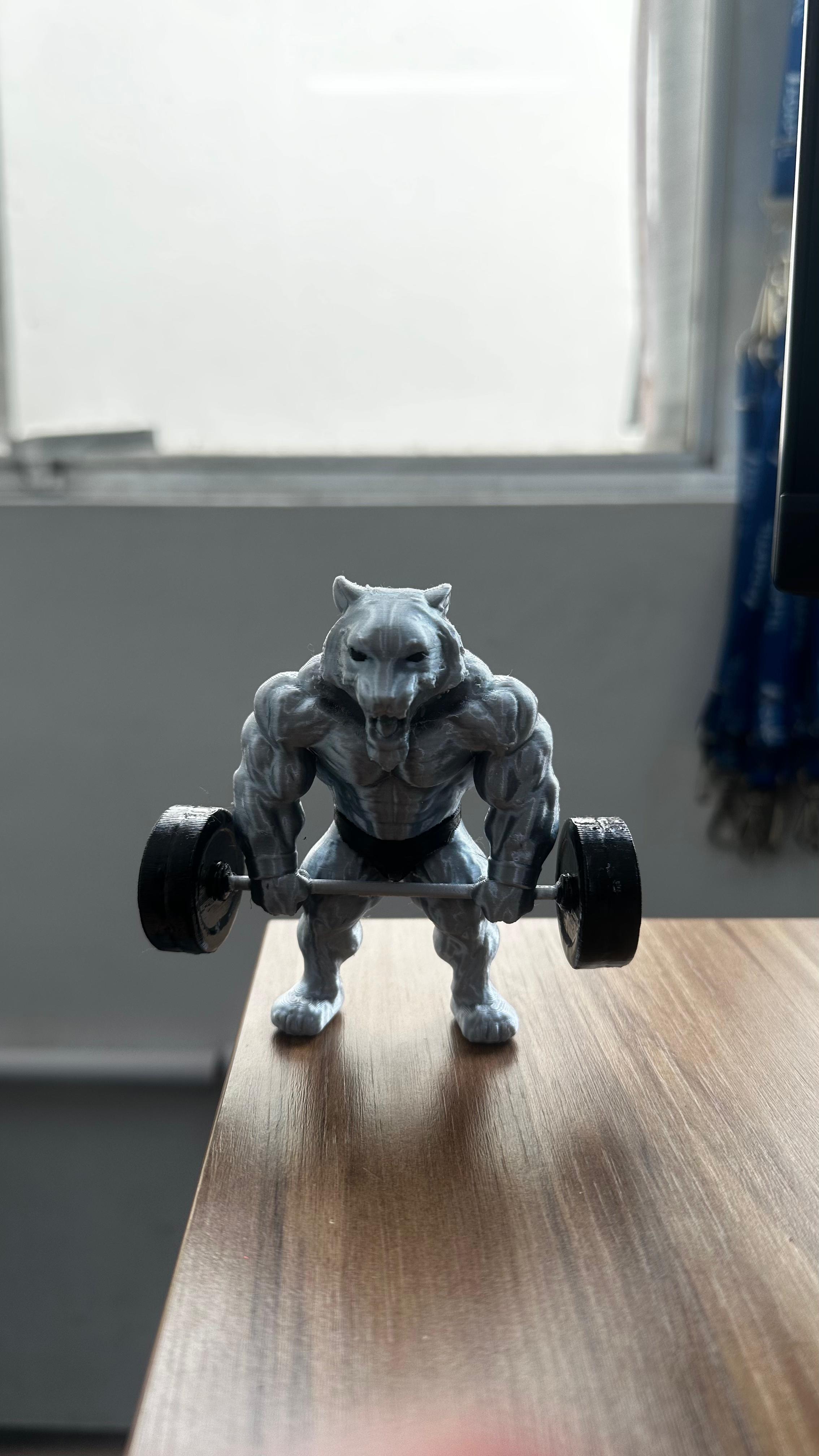 Miniatura 3D tigre musculoso halteres academia