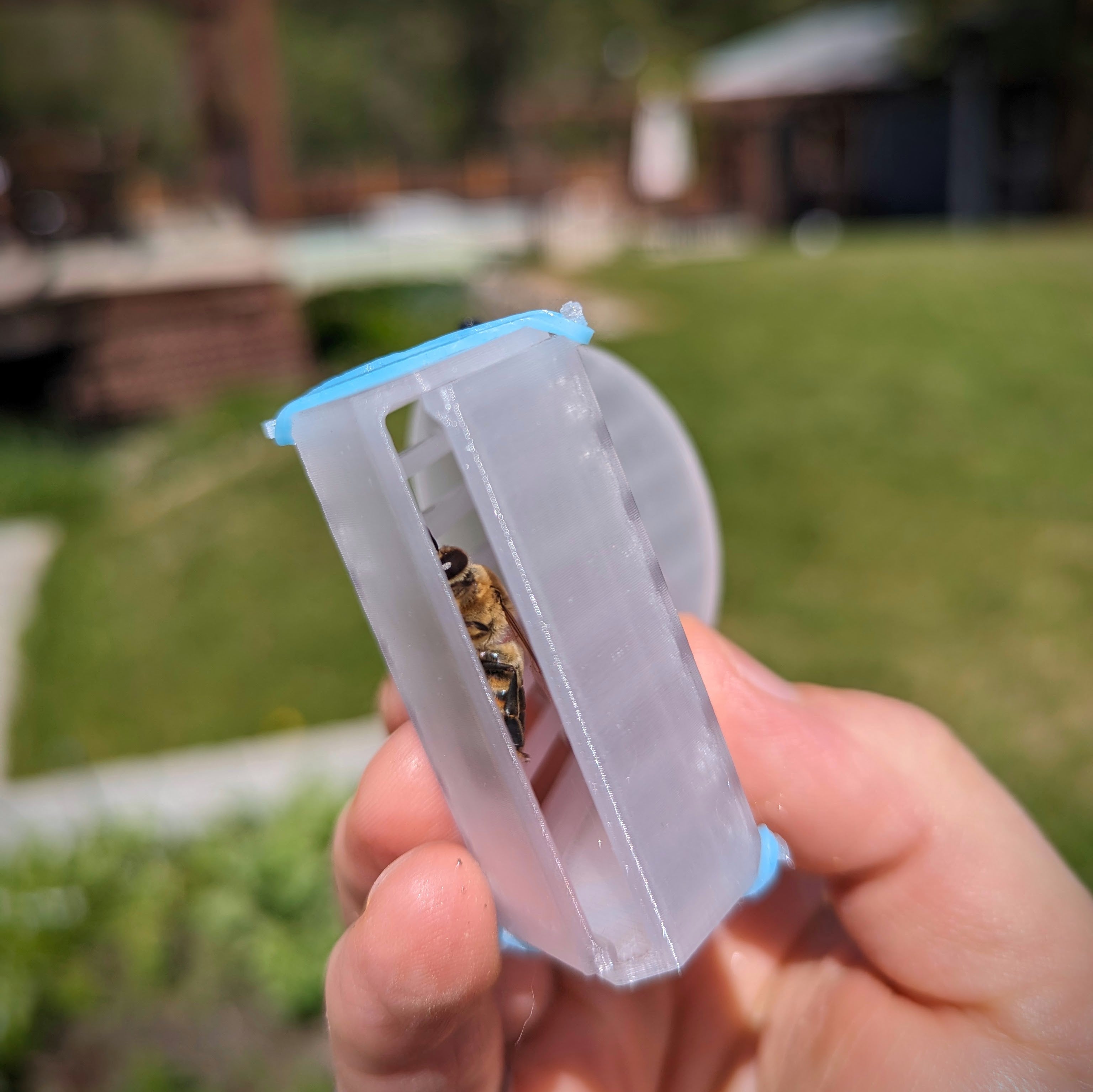 Bee Saver (Queen Clip)