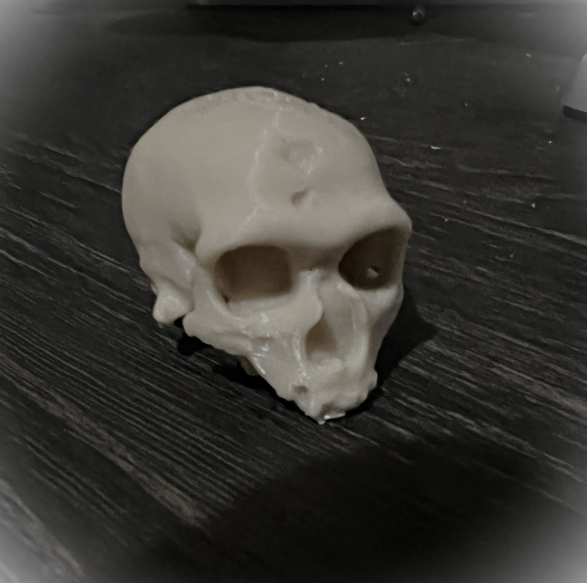 Damaged Cro-Magnon Skull