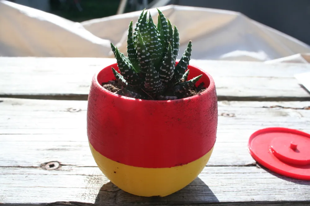 Simple Small Succulent Planter