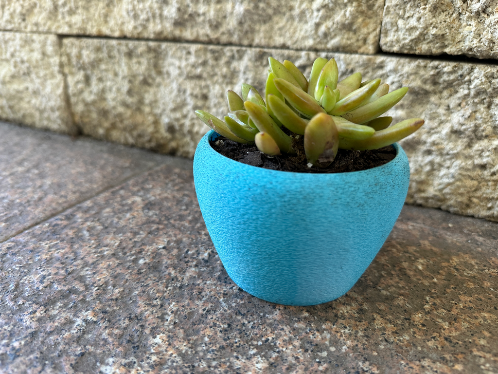Plant pot / Succulent Container / Planter