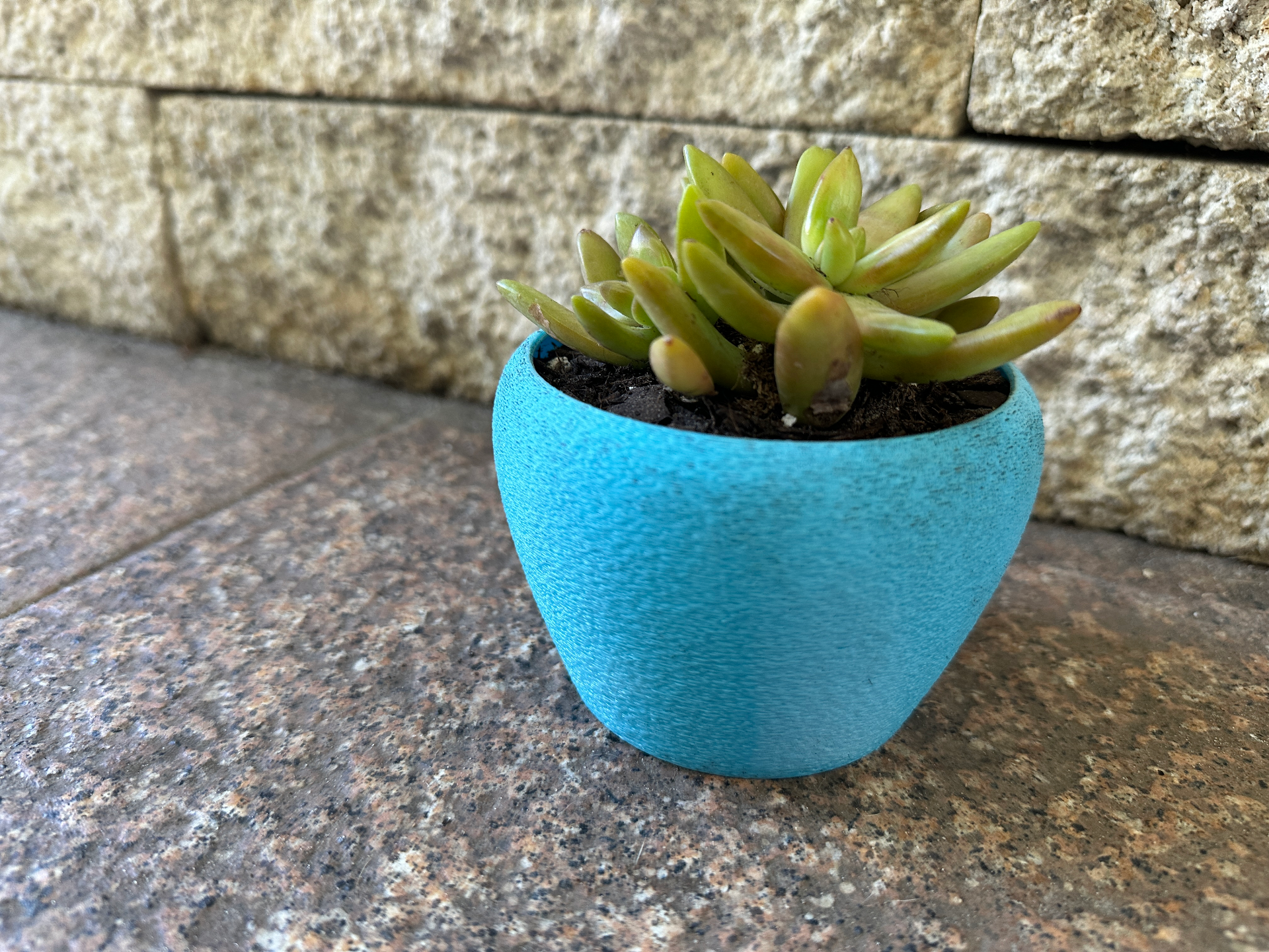 Plant pot / Succulent Container / Planter