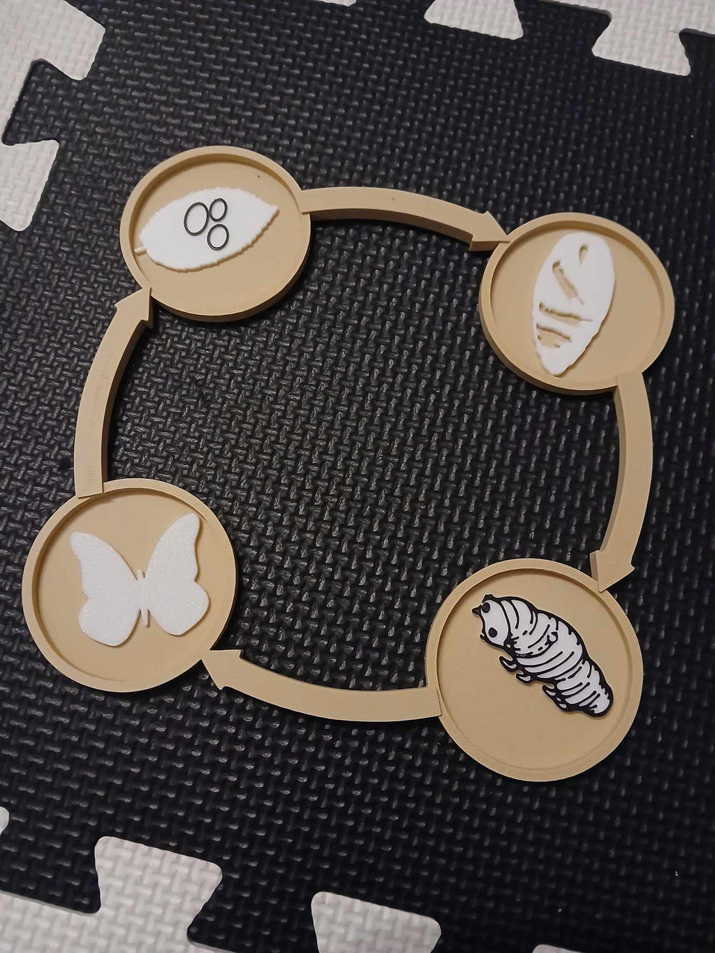 Sensory Tray – Butterfly Life Cycle