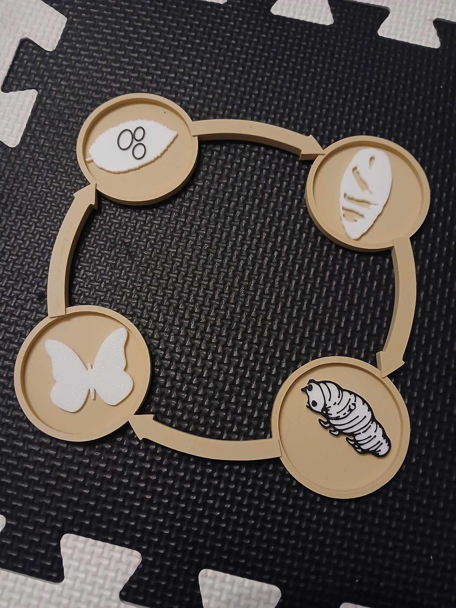 Sensory Tray – Butterfly Life Cycle