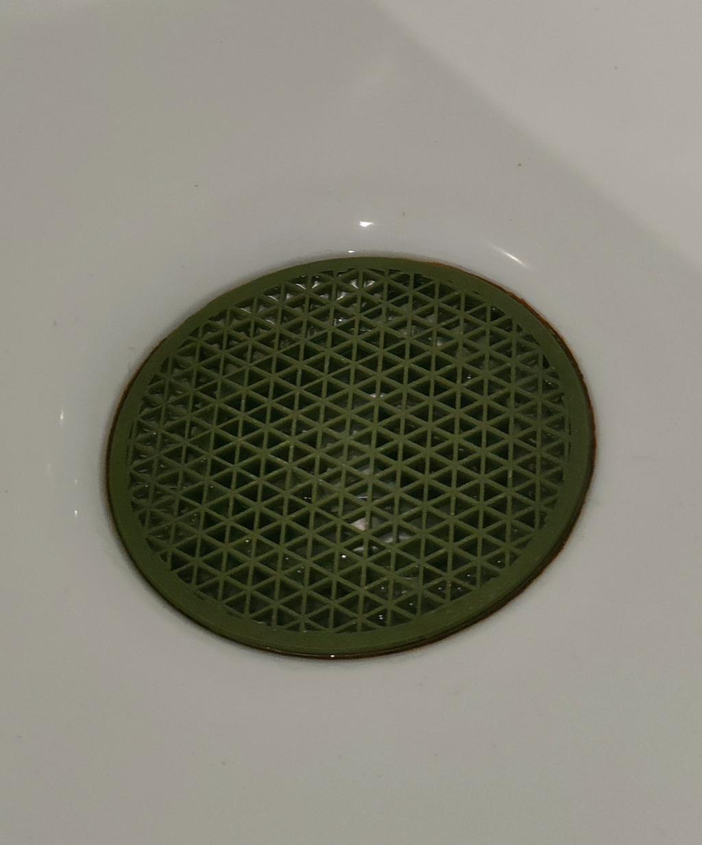 Shower Drain Hair Catcher