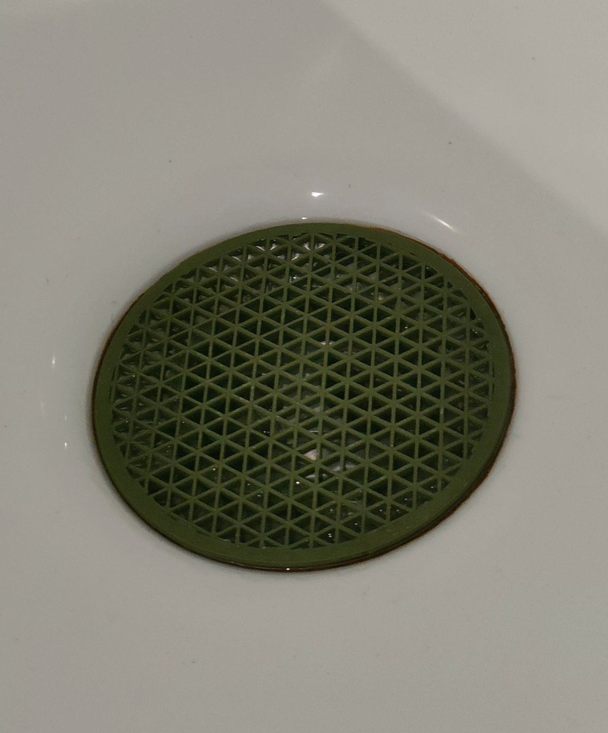 Shower Drain Hair Catcher