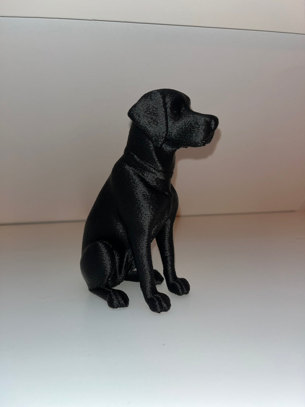 Labrador Dog Senna Decor