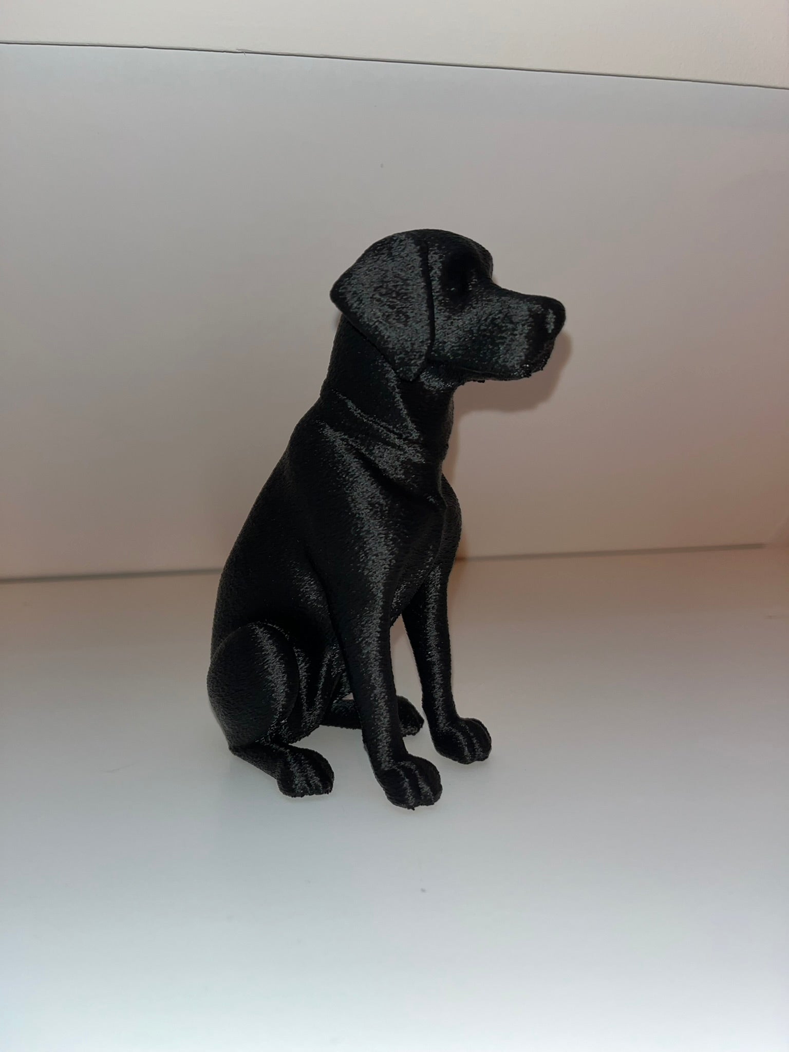 Labrador Dog Senna Decor