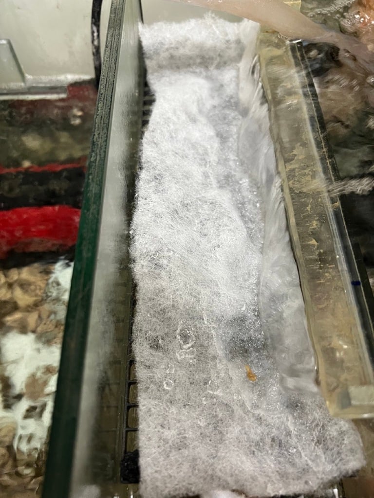 Grid for use with Perlon in aquariums