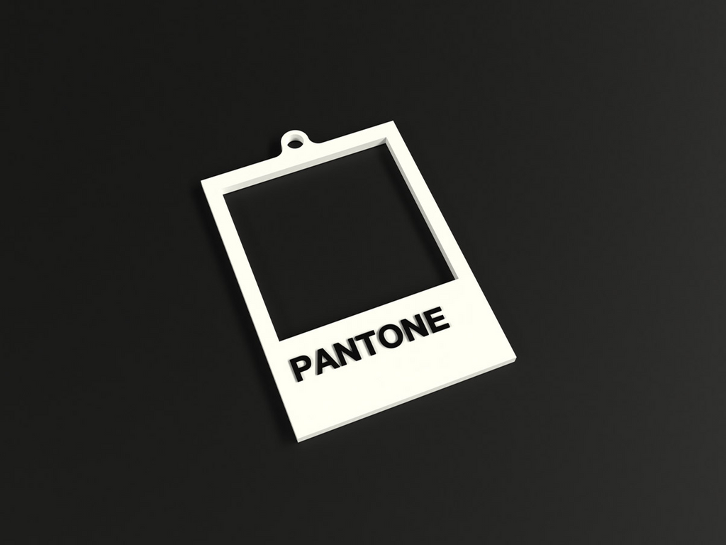 PANTONE key chain