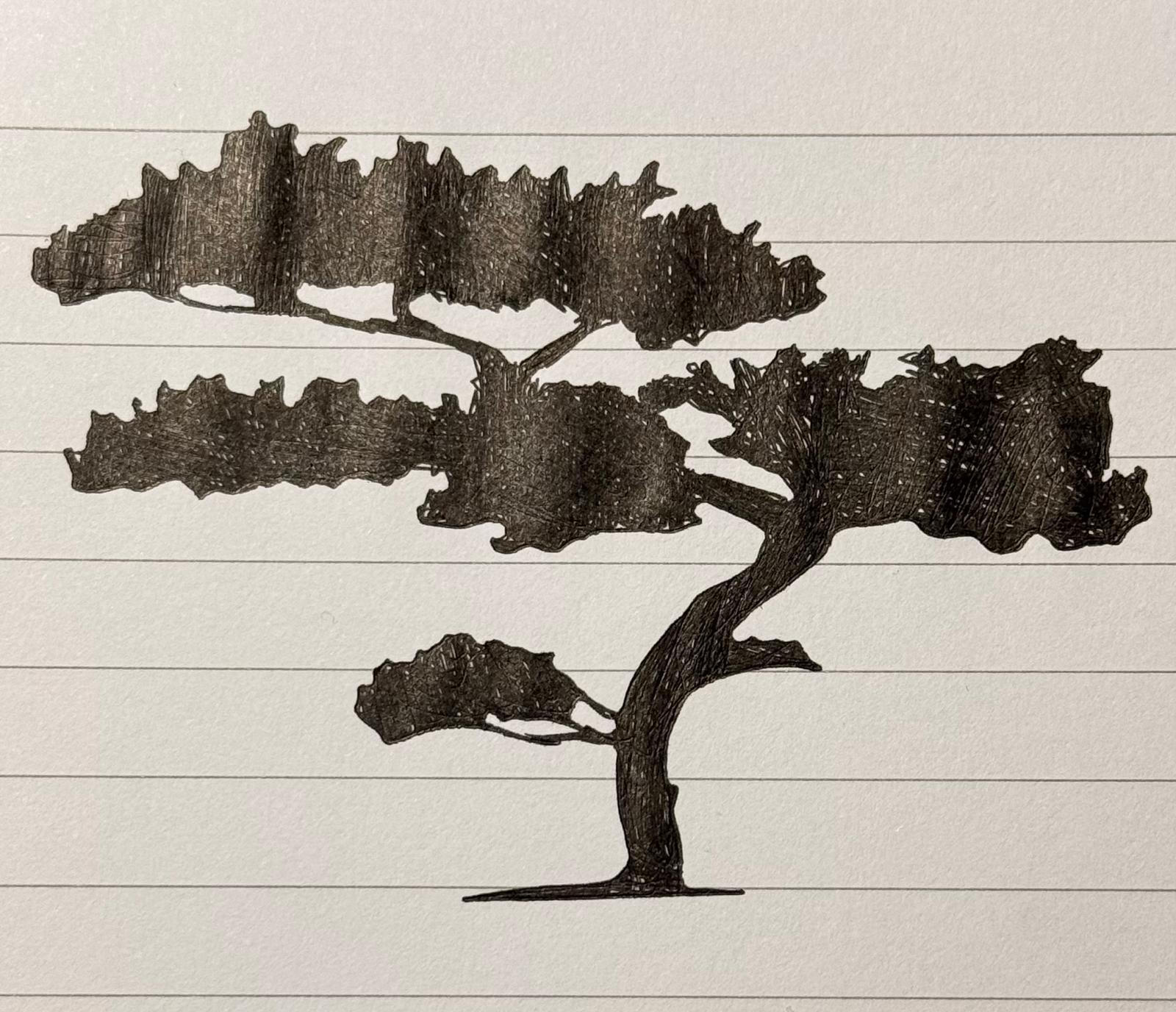 A bonsai stencil