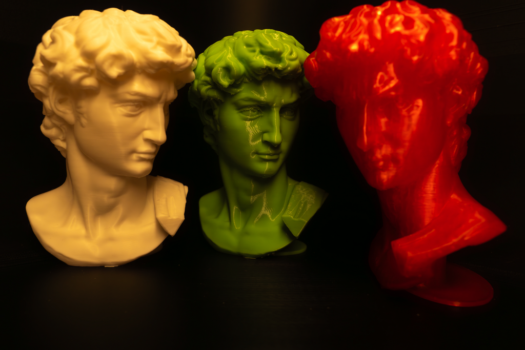 Head of Michelangelo's David