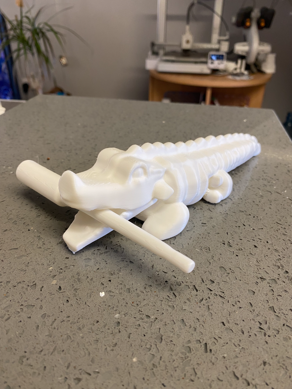 percussion crocodile