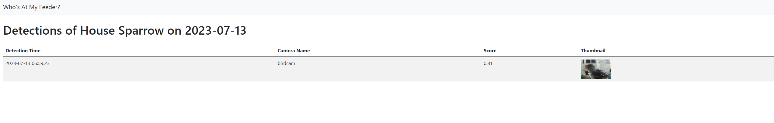 BirdBrain: Smart Bird Feeder - DIY Bird Buddy