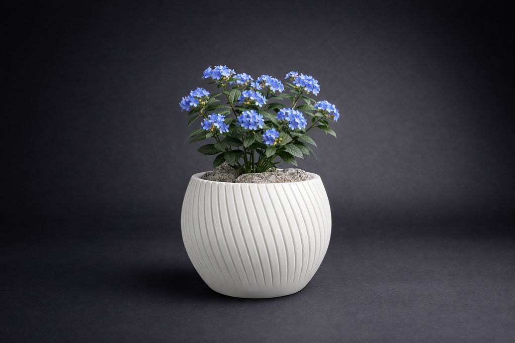 Flower - Plant Pot ( Medium Size )