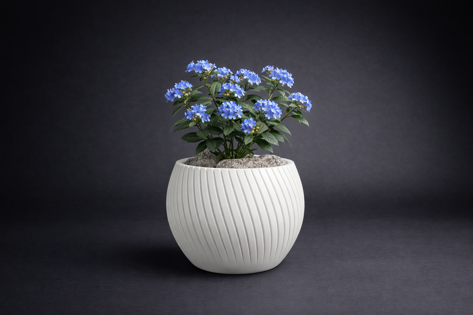 Flower - Plant Pot ( Medium Size )