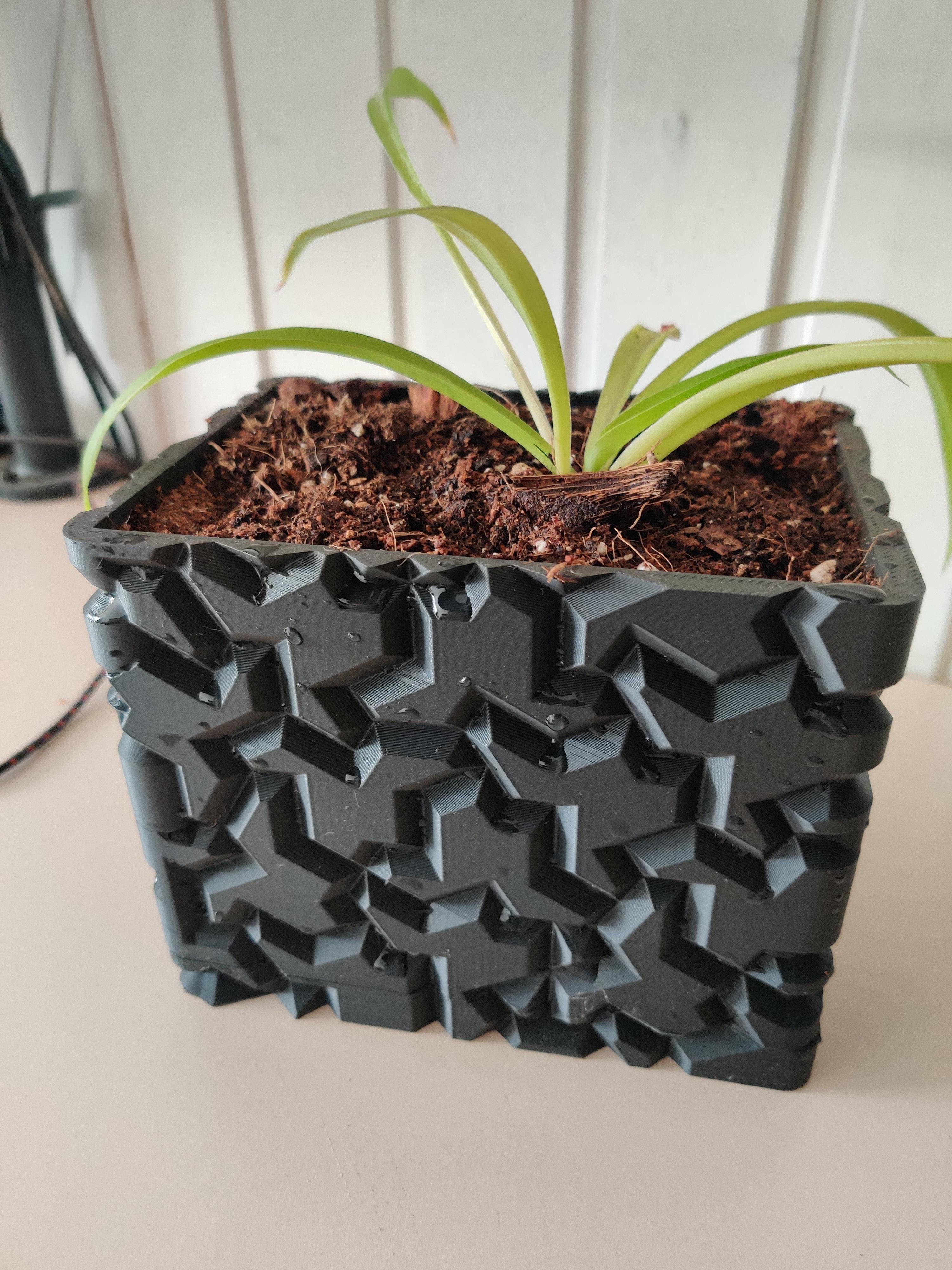 Rectangular einstein tile planter with drainage