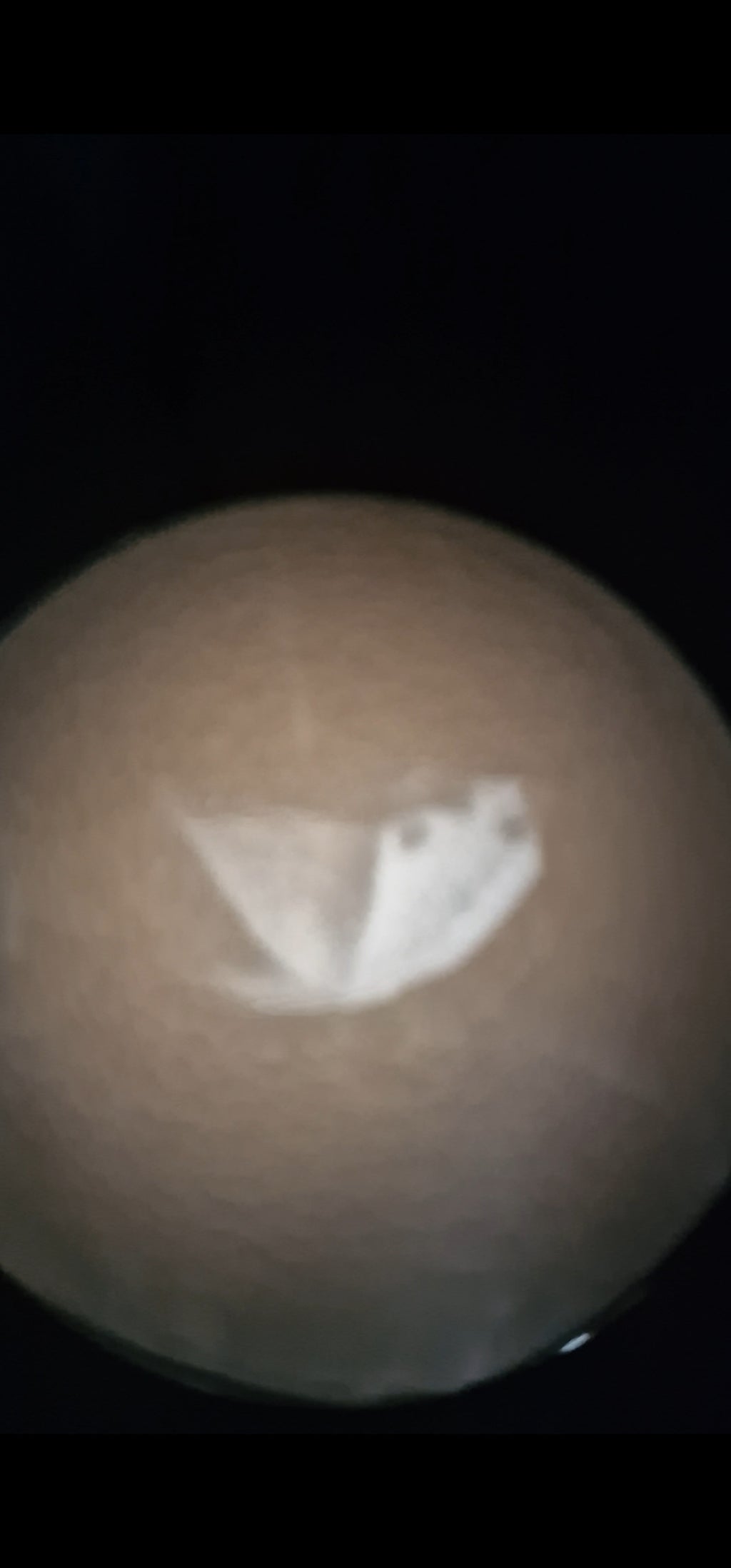 Working Camera Obscura