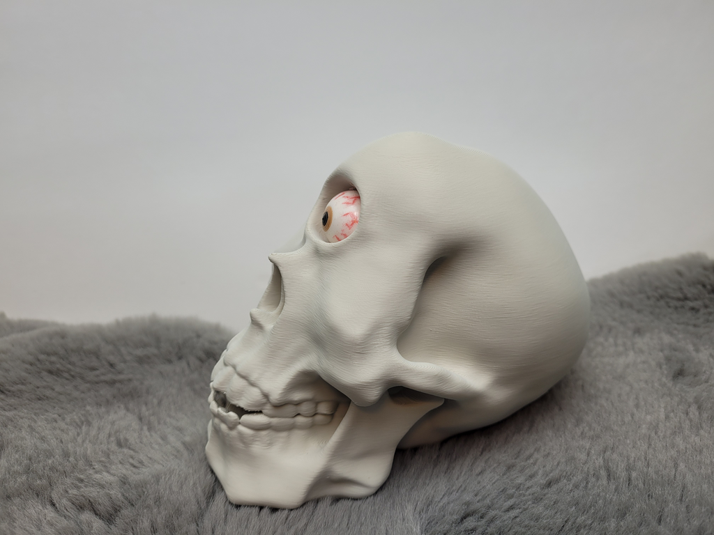 Cyclops Skull