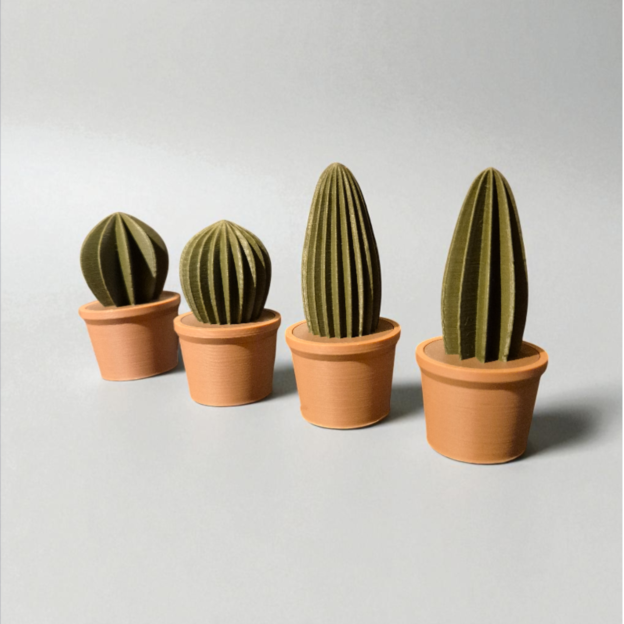 Magnetic Cactus - Fridge Plant - no AMS needed